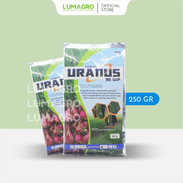 Fungisida Uranus Wp Gr Gr Sulfur Ziram Pencegah Bercak Ungu