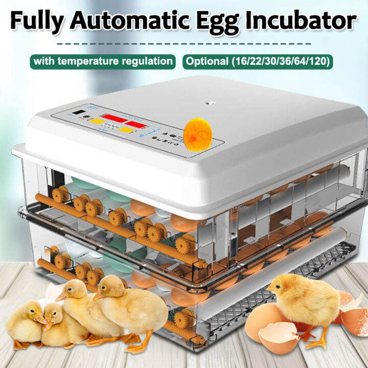 Fully Automatic Digital Incubator 220V Egg Incubator 163664120 Egg