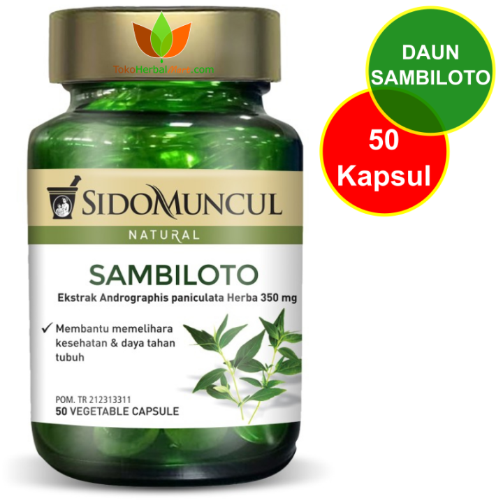 Sidomuncul Sambiloto Kapsul Jamu Obat Herbal Diabetes Mellitus