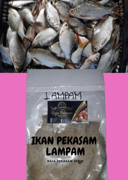 Ikan Lampam Pekasam Tradisional Lazada