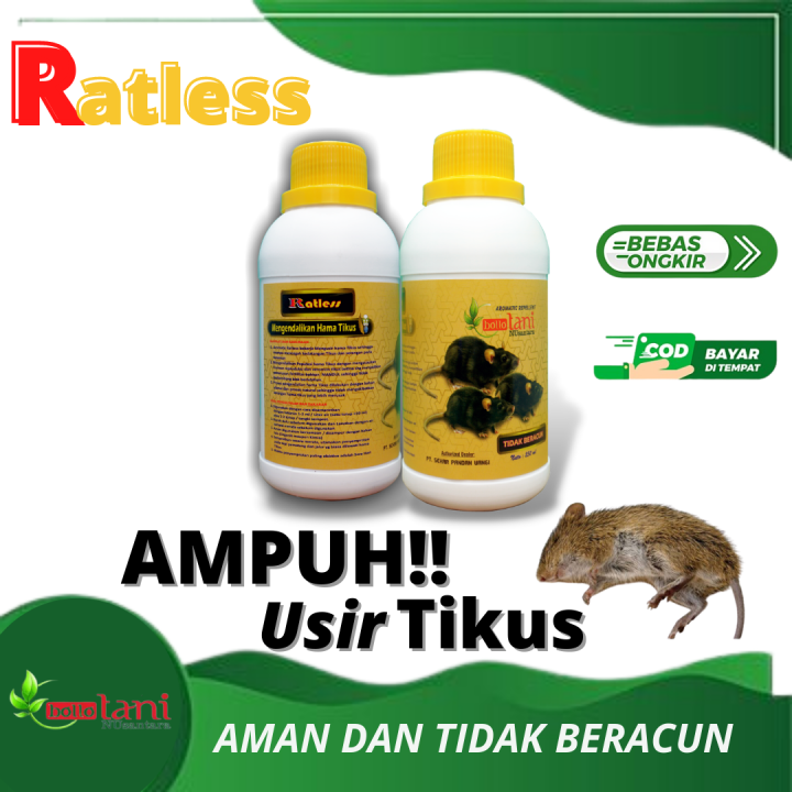 Obat Tikus Ratless Ampuh Obat Tikus Tanpa Meracuni Obat Tikus Aman