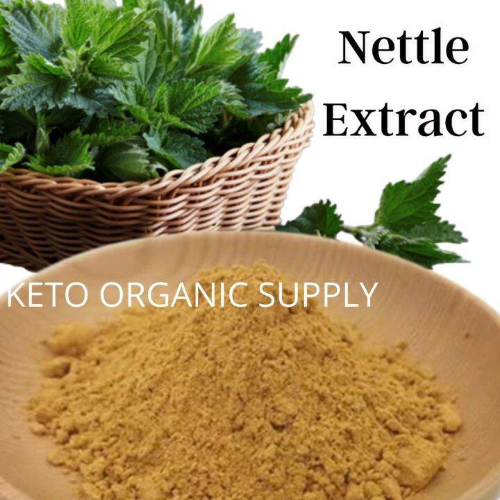 Nettle Powder Extract 100g Stinging Nettle 荨麻 Urtica Nettle Leaf