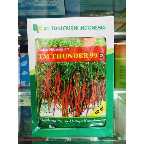 Benih Cabe Kriting TM Thunder 99 Cabe Hibrida F1 ASLI 10 Gram Lazada