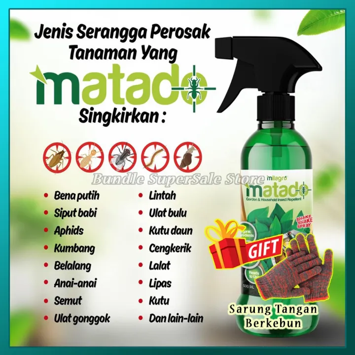 Ready Stock Keladi Viral Keladi Murah Racun Serangga Organik Spray