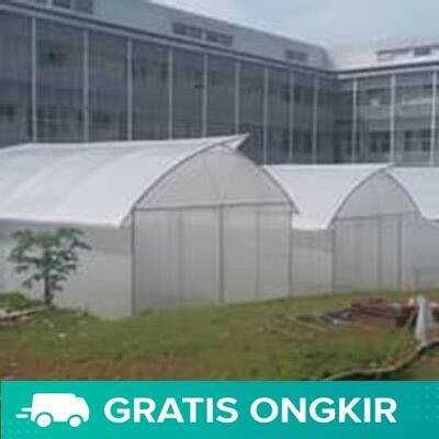 Plastik UV Lebar 3 Meter Tebal 60 Mikron Panjang 1 Meter Greenhouse