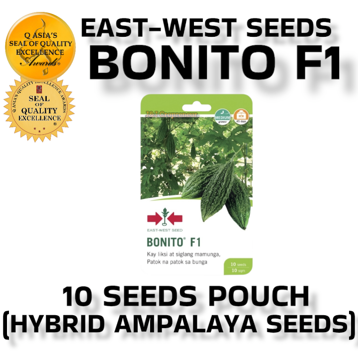 BONITO F1 SHORT FRUIT AMPALAYA 10 SEED PACK BY EAST WEST SEEDS