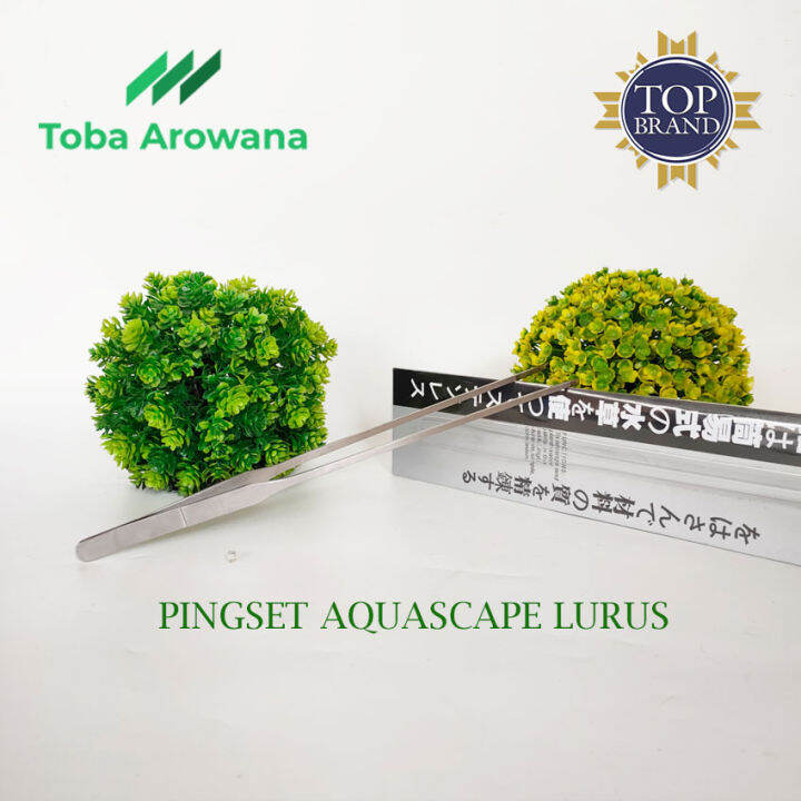 Toba Arowana Pinset Pingset Aquascape Model Lurus Cm Anti Karat