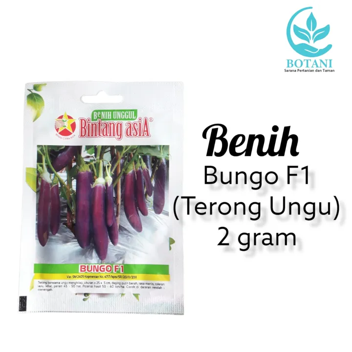 Benih Terong Ungu Bungo F Gram Bintang Asia Lazada Indonesia