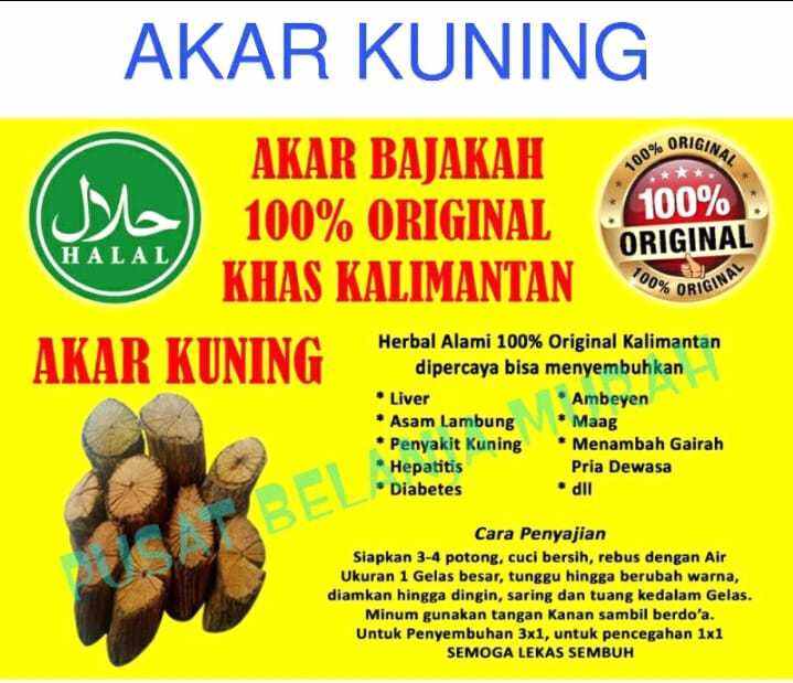 Bajakah Akar Kuning Kayu Bajakah Asli Kalimantan Lazada Indonesia