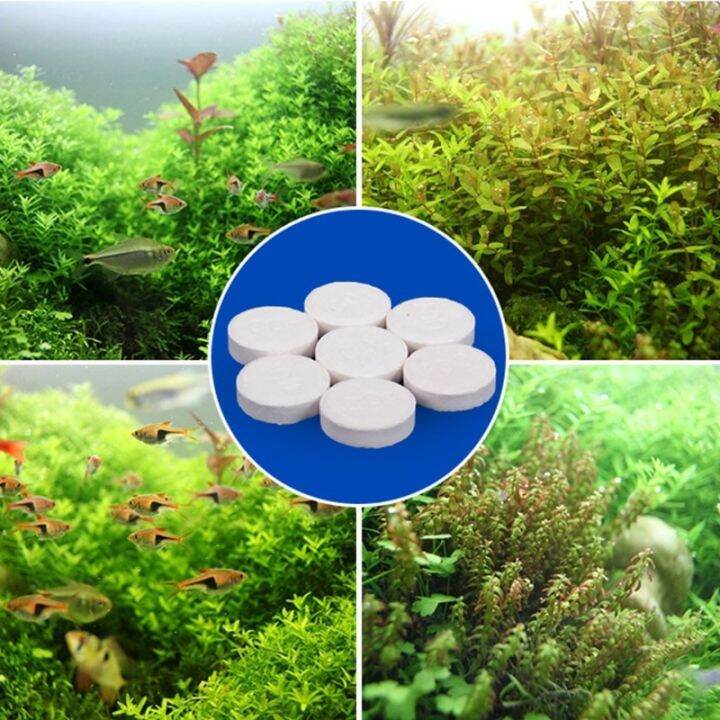 Hot Cw Aquarium Co2 Tablet Dioxide Tank Diffuser Plants Lazada PH