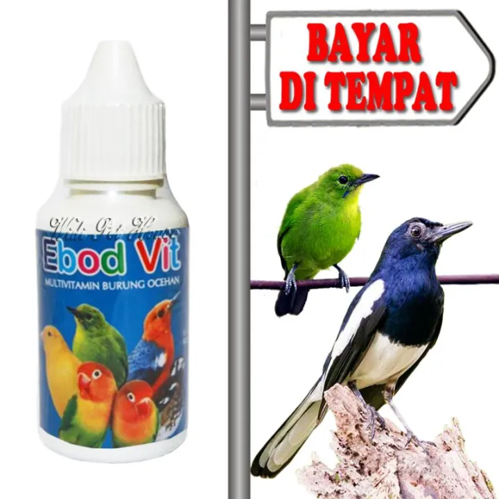 VITAMIN BURUNG KICAU OBAT BURUNG GACOR GANTANGAN EBOD VIT Lazada