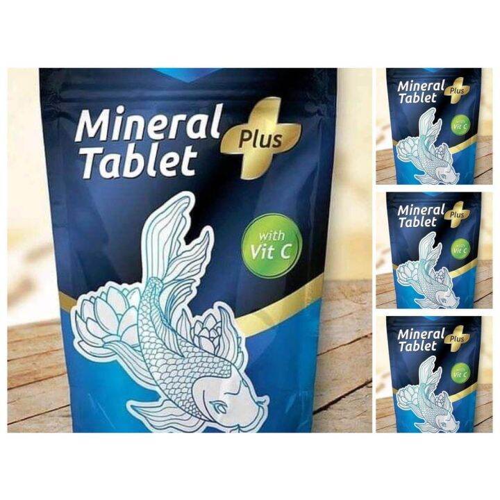 Mineral Tablet Plus Vitamin C Garam Garem Ikan Tablet Lazada Indonesia