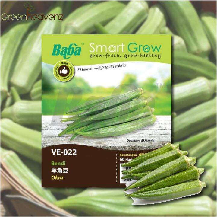 GHZ Baba Smart Grow Seeds VE 022 Hybrid Okra Green Torpedo Bendi