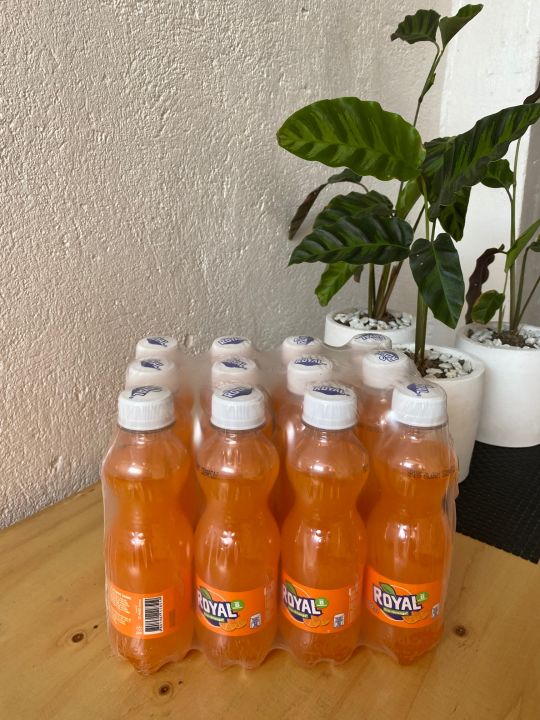 Royal Tru Orange Mismo 250ml X 12 Bottles Lazada PH