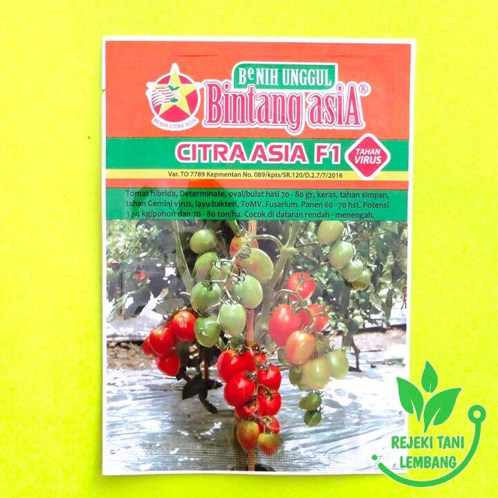 BENIH TOMAT CITRA ASIA F1 ISI 5 GR Lazada Indonesia