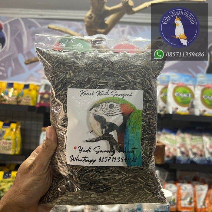 Kuaci Makanan Burung Paruh Bengkok Kakatua Nuri Sun Conure 1kg Lazada