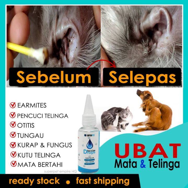 Fast Ship Ubat Titis Telinga Dan Mata Kucing Anjing Arnab Merawat