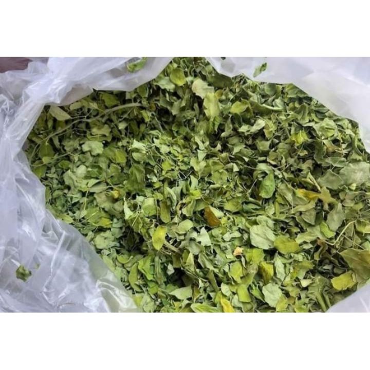 Daun Kelor Kering 1 Kg Lazada Indonesia