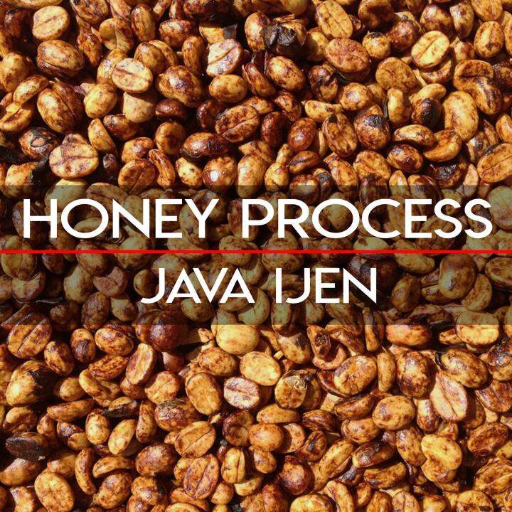 Green Bean Arabica Java Ijen Honey Process 1Kg Lazada Indonesia