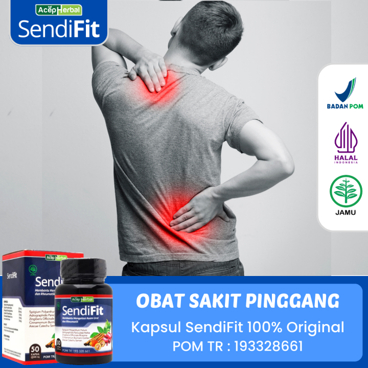 Sendifit Herbal Obat Sakit Pinggang Saraf Terjepit Di Pinggang Sampai