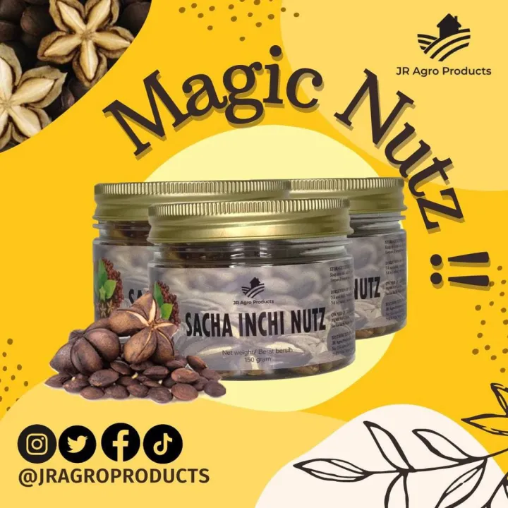 Ready Stock Cashew Nuts Roasted Salted Gajus Panggang Sacha Inchi Nut