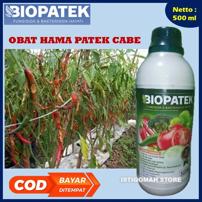 Obat Patek Pembasmi Hama Tanaman Cabe Biopatek Ml Fungisida Hayati