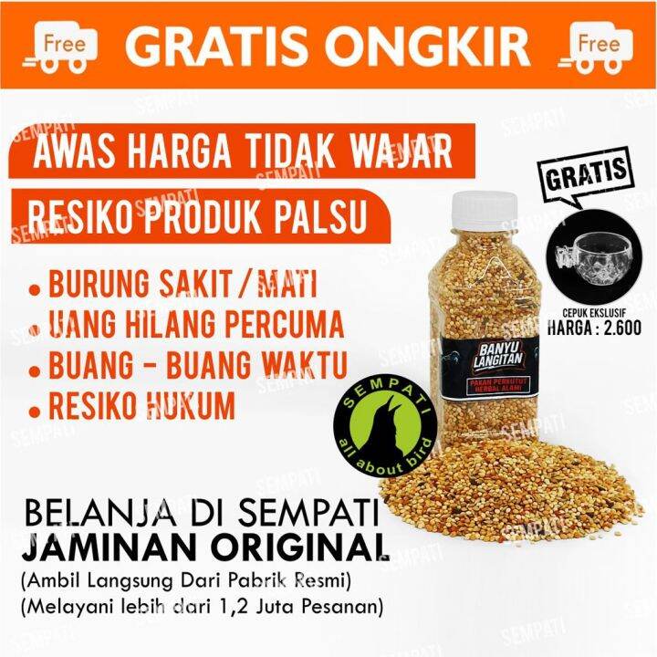 BANYU LANGITAN PAKAN HERBAL PERKUTUT MAKANAN BURUNG PUTER TEKUKUR