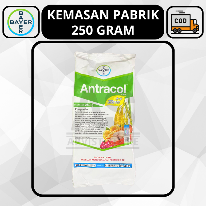 Fungisida ANTRACOL 70 WP Zinc 250 Gram Bayer Propineb Lazada Indonesia