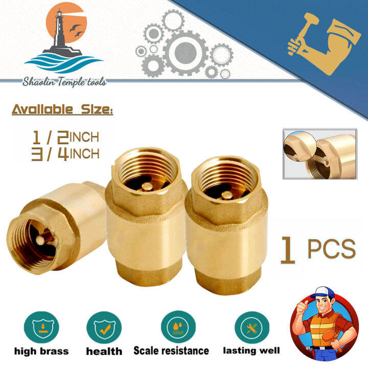 Brass Female Thread In Line Spring Vertical Lift Check Valve