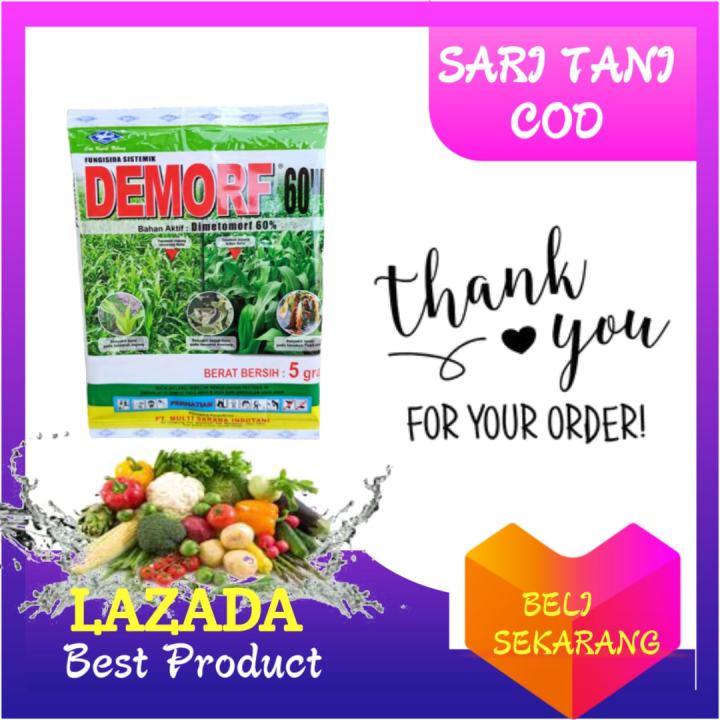 Fungisida Sistemik Demorf 60 WP 5 Gram Lazada Indonesia