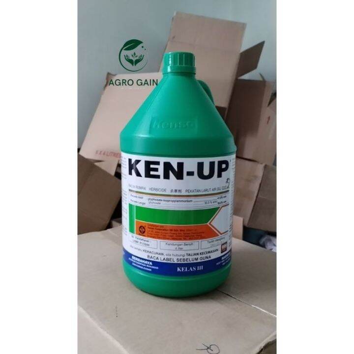 4L KEN UP Glyphosate 41 Racun Rumput Lalang Herbicide Weed Killer Lazada