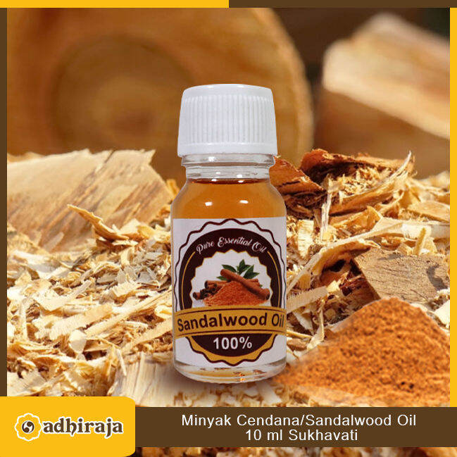 Minyak Cendana Original Asli Kupang Sandalwood Oil 10 Ml Sukhavati