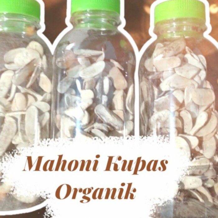 Biji Mahoni Kupas Gram Tanpa Kulit Putih Pure Organik Multivitamin