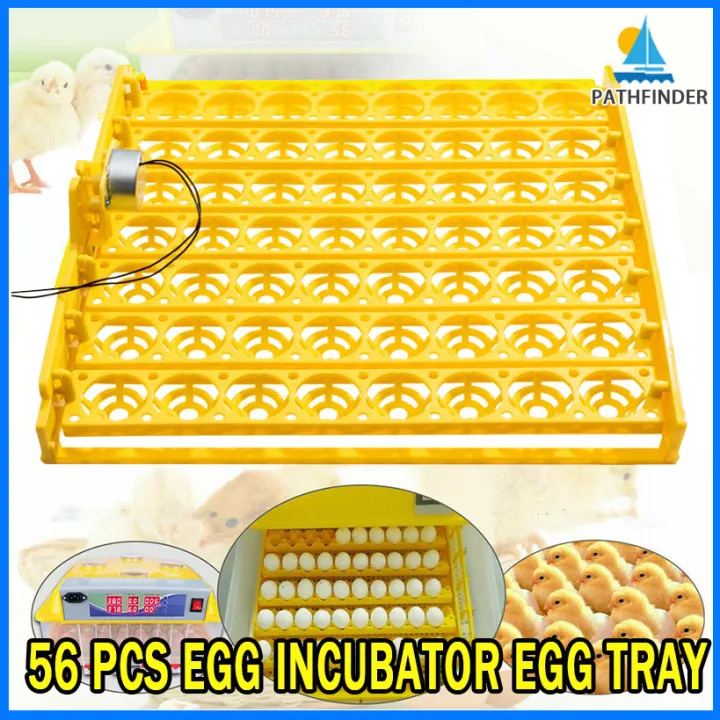 Automatic 56 Egg 220V Poultry Chicken Incubator Chicken Duck Quail Egg