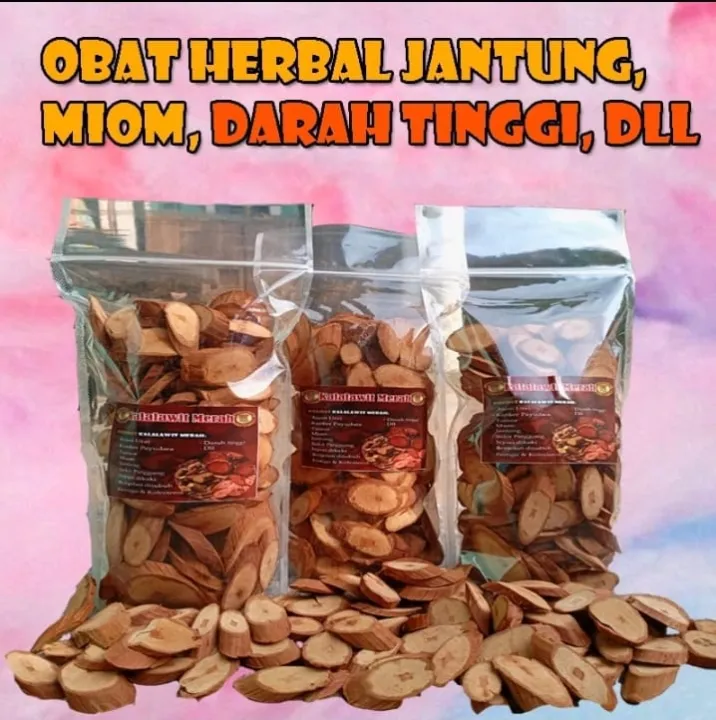 AKAR BAJAKAH KALIMANTAN Kualitas TERBAIK Herbal Kayu Bajakah ASLI