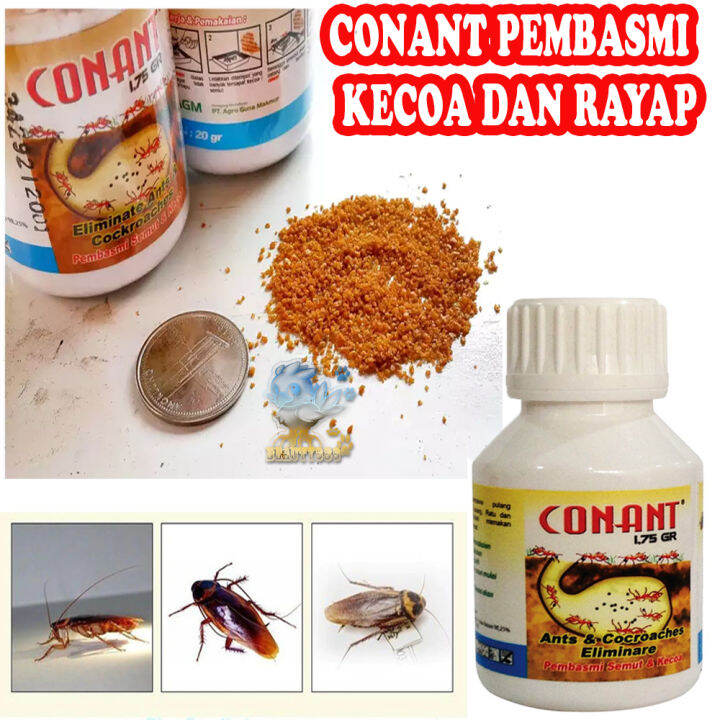 Beauty Conant Gram Racun Pembasmi Semut Pembasmi Kecoa Obat Pembasmi