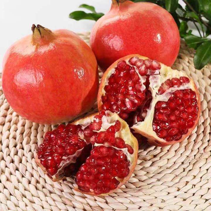 Fresh Pomegranate Seeds For Planting Dwarf Bonsai Pomegranate Fruit