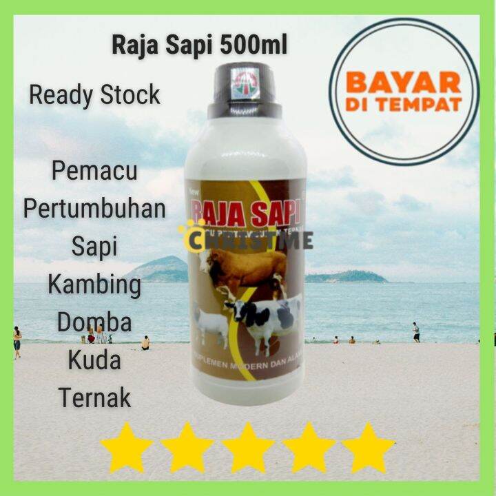 Raja Sapi 500ml Pemacu Pertumbuhan Ternak Sapi Kambing Kuda Babi