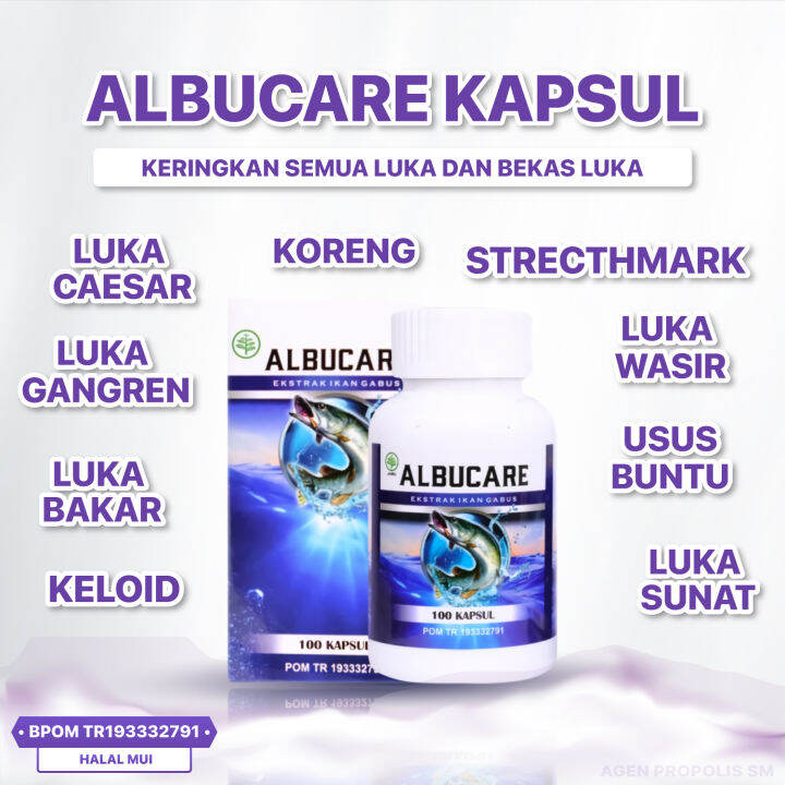 Obat Luka Agar Kering Kapsul Albucare Ekstrak Albumin Ikan Gabus 100