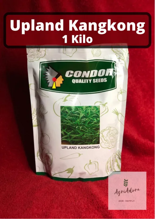 Upland Kangkong 1 Kilo Condor Quality Seeds Lazada PH