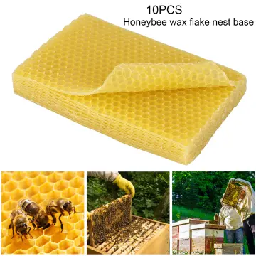 10pcs Beeswax Sheets Candle Making Craft DIY Kit Candle Maker Full Bees Wax  Honeycomb Beekeeping Foundation