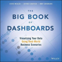 Right now ! BIG BOOK OF DASHBOARDS, THE: VISUALIZING YOUR DATA USING REAL-WORLD BUSINESS SCENARIOS