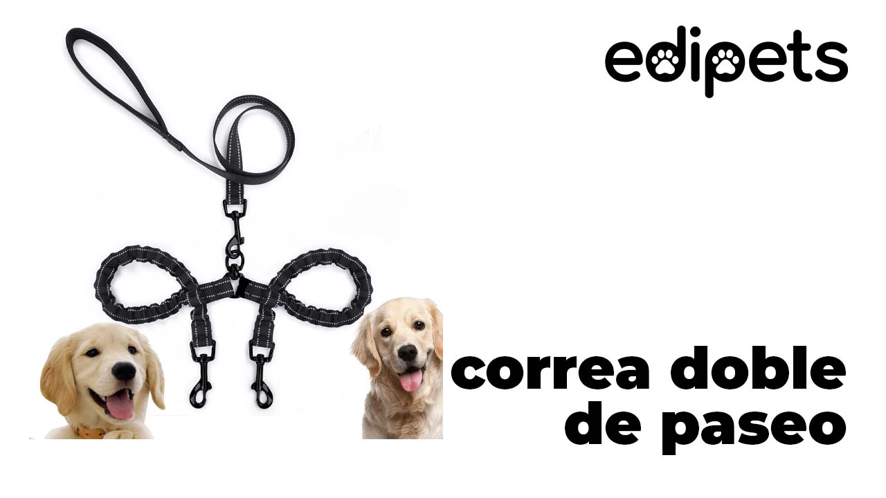 Edipets - Edipets Correa Doble Reflectante para Pasear Dos Perros con Clip Giratorio 360º