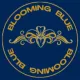 storeLogo