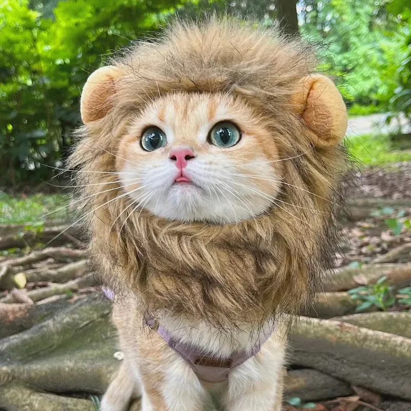 ZZOOI Cute Lion Mane Cat Wig Hat Funny Pets Clothes Cap Fancy ...