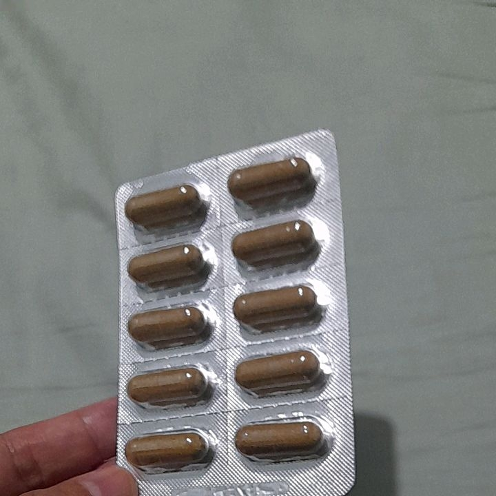 xanthone plus gold 10 capsules Lazada PH