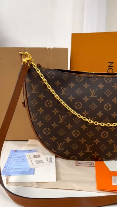 Louis Vuitton Loop Hobo Bag Monogram Reverse Canvas