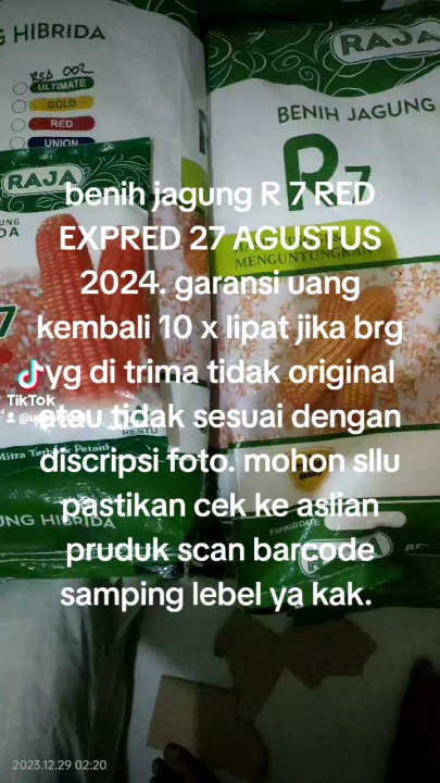 Benih/bibit Jagung Hibrida Raja R7 Tahan Bulai Kemasan 1kg Expred 27 08 ...