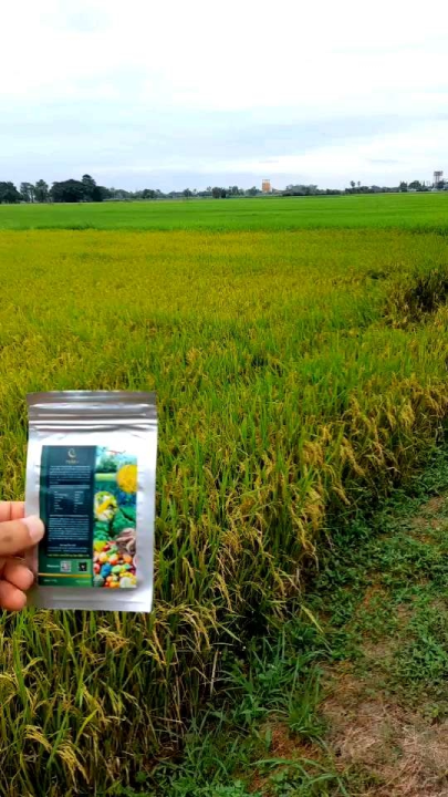 ทรีพลัส.วัน (tree+1) อาหารเสริมสำหรับพืช (สารคีเลตชนิดผงนาโน) ลดใช้ปุ๋ย ...