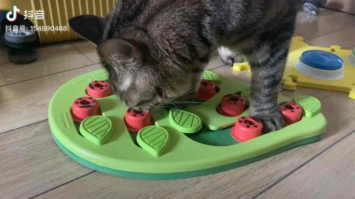Nina Ottosson Melon Madness Puzzle & Play Cat Toy